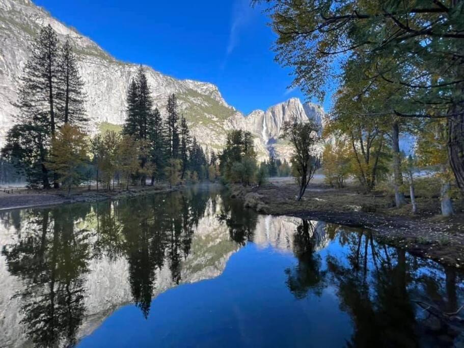 Mountain Haven Newly-built By Yosemite